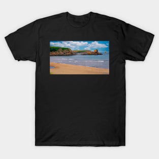 Beach at Margaree Harbour T-Shirt